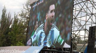 Mientras veía a la selección en una Fan Zone, sus perros murieron en su auto