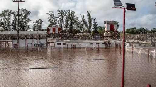 El Niño: claves para prevenir enfermedades por roedores, dengue y alacranes 