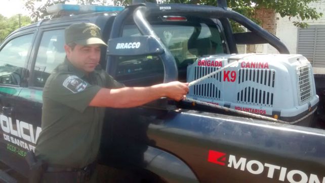 El pumita fue puesto a resguardo para ser trasladado a una reserva ecológica