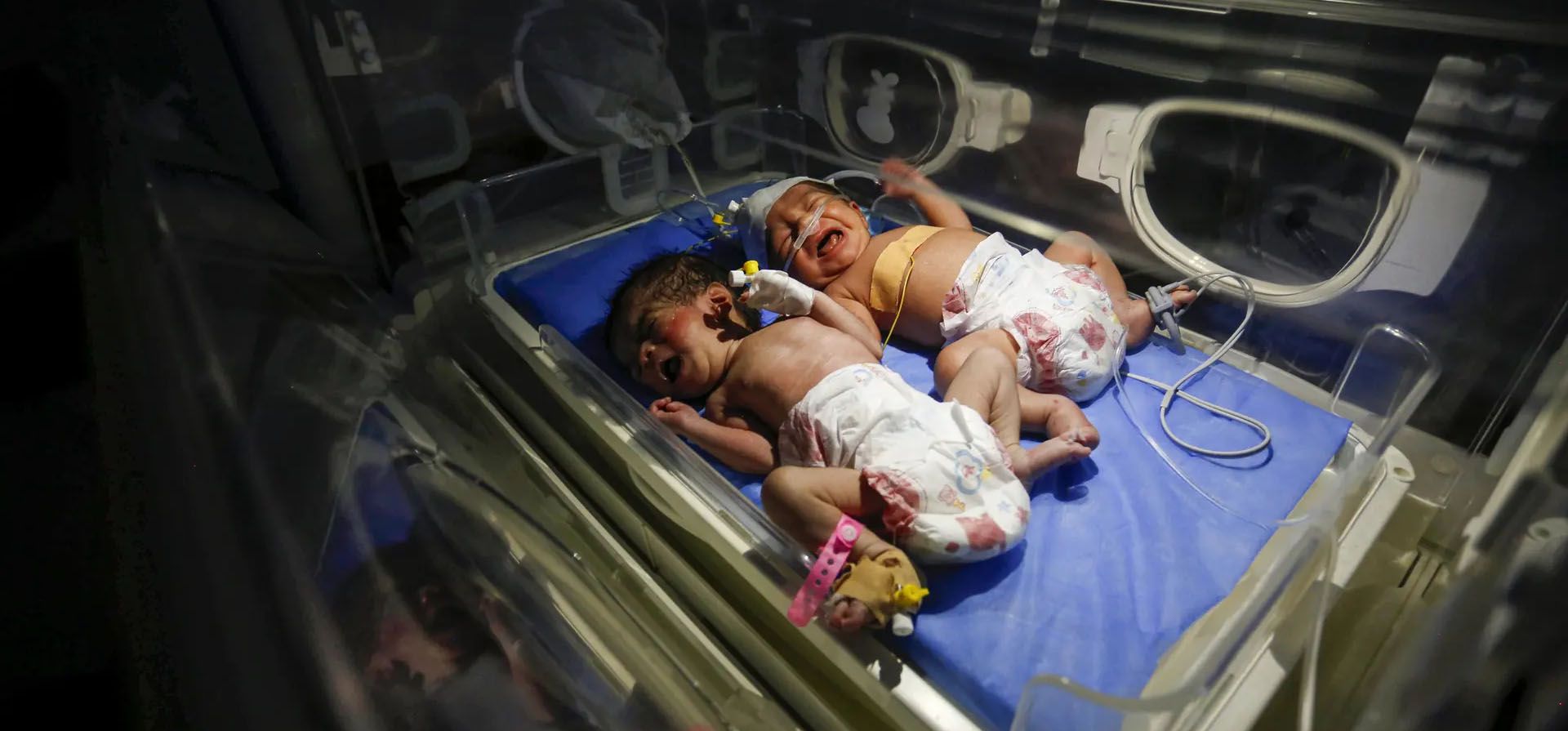 Bebés en incubadoras, ya que la escasez de combustible provoca cortes de energía. El Ministerio de Salud de Gaza volvió a advertir sobre el inminente cierre de los servicios en el hospital Shuhada al-Aqsa debido a la escasez de combustible, Gaza. Fotografía: Anadolu/Getty Images Bebés en incubadoras, ya que la escasez de combustible provoca cortes de energía. El Ministerio de Salud de Gaza volvió a advertir sobre el inminente cierre de los servicios en el hospital Shuhada al-Aqsa debido a la escasez de combustible, Gaza. Fotografía: Anadolu/Getty Images