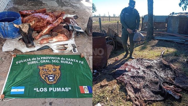 Cayeron cuatreros que habían robado y faenado un novillo