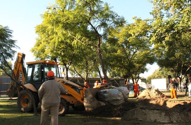 Comenzó la preservación de árboles del Parque Alberdi