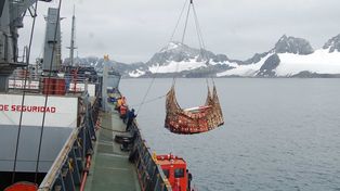 El gobierno canceló licitación para la Campaña Antártica