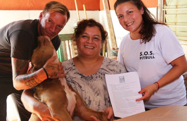 El pitbull hallado atado en un vagón de tren encontró una familia adoptiva