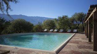 Posada Rural La Matilde: un secreto tierra adentro para conectar con la naturaleza