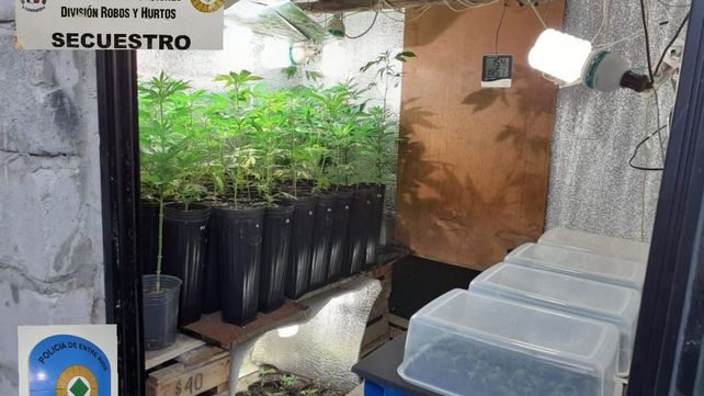 Narcotráfico en Paraná