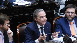 Pichetto considera que vale la pena analizar el decreto de Milei.