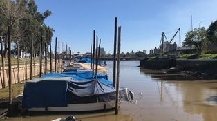 El río llegó al nivel más bajo en un año: guarderías náuticas quedaron fuera de servicio