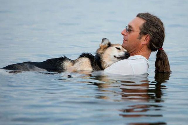 Un homenaje al máximo amor entre un perro y su amo