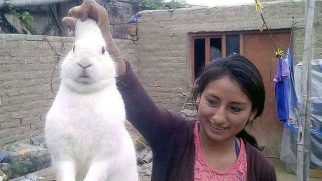 Pinpon, el conejo que se escapaba de casa para consumir marihuana
