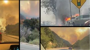 El aterrador escape de una joven santotomesina de los incendios en Los Ángeles: Pensé lo peor