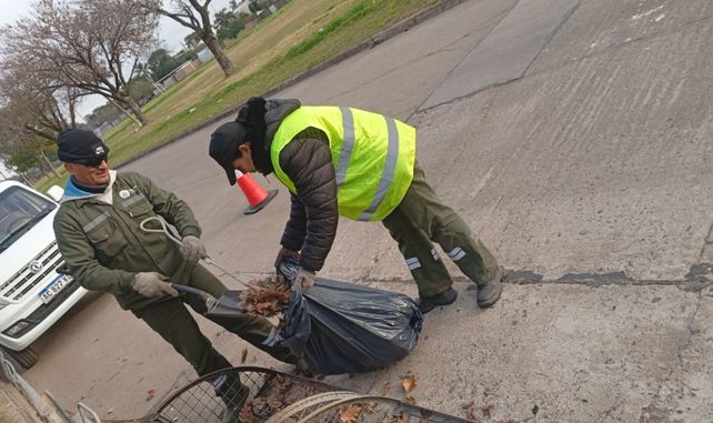 Alerta por tormentas en Santa Fe: refuerzan los operativos de limpieza con cuadrillas y maquinaria en toda la ciudad