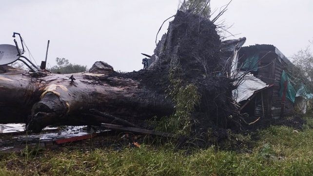 La tormenta de agua y ráfagas de viento se desató en la madrugada de este martes en Concepción del Uruguay causando voladuras de techos y caída de árboles.&nbsp;Foto: 03442