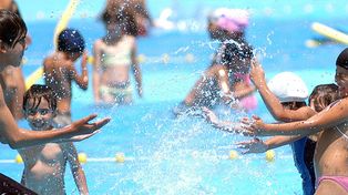 En verano, los piojos también van a la colonia de vacaciones