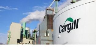 Cargill anunció un ajuste a nivel global que impacta en la región.