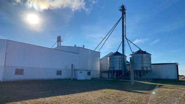 Sueño cumplido: un grupo de productores recuperaron un molino y encendieron motores