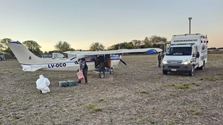 El narco negocio en el sur provincial: avionetas, la DEA y cocaína por más de 15 millones de dólares