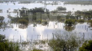 La EPE pidió precaución al navegar en un sector del río Salado