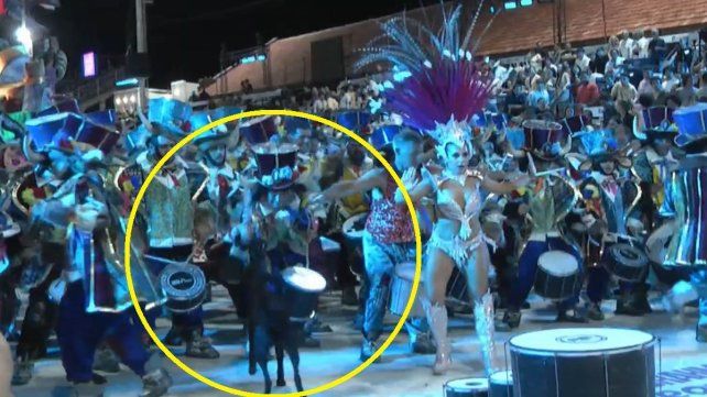 El hecho ocurrió durante el paso de la comparsa Papelitos en la tercera noche del Carnaval del País. La comparsa emitió un comunicado.