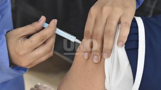 Veterinarios piden la vacuna contra el Covid.