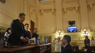El Senado definió sus autoridades
