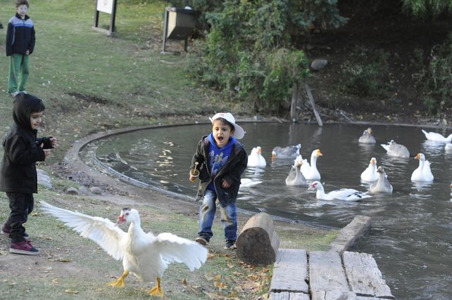 Este sábado habrá programación en la Granja de la Infancia
