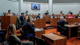 Concejo Municipal: proponen crear un registro único de animales perdidos