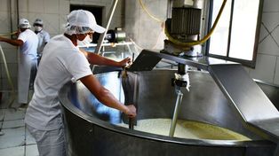 Abril será un mes difícil para la industria láctea
