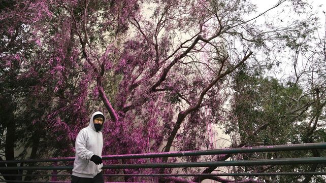 Las inmediaciones del Macro se cubrieron de pintura rosa, por la intervención del viento en la ejecución del nuevo diseño