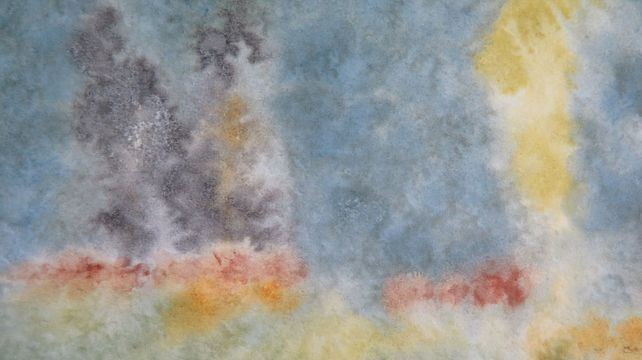 Las acuarelas de Patricia Spessot son parte de las muestras que se podrán ver desde este viernes 27 en el Museo Estévez