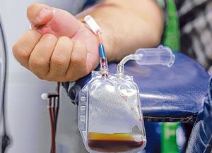 Los anticuerpos contra el coronavirus permanecen en la sangre al menos ocho meses