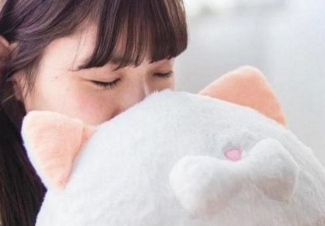 Crean un perfume con olor a frente de gato