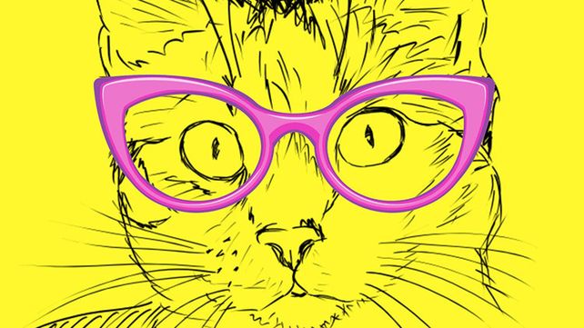 ¿Sos introvertido o extravertido? Descubrilo con un desafío visual