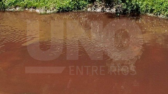 Presentaron denuncia federal por los efluentes en Entre Ríos