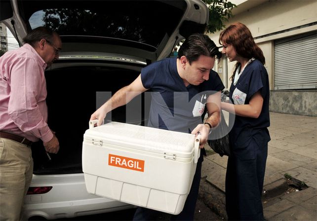 Avance. Los operativos de ablación crecieron en los cinco nodos / Foto: Juan Manuel Baialardo - Uno Santa Fe