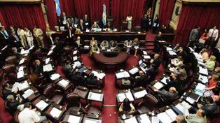 Pichetto: Va a ser una votaci&oacute;n cerrada, pueden ser 35 senadores a favor