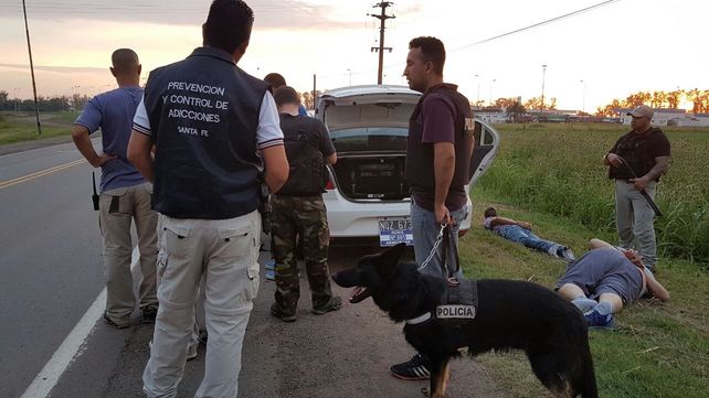 Olfateó. El can que detectó que algo no andaba bien en el auto.