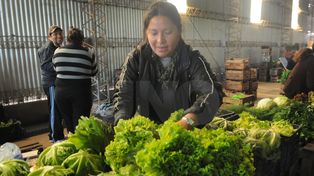 Se inaugura oficialmente la feria popular de frutas y verduras