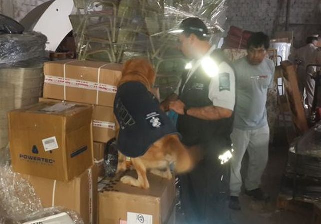 Desarticularon una banda que se dedicaba al contrabando de productos comprados por Internet