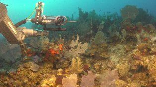 Expedición al fondo del mar: comenzó otro streaming en el océano con nuevos misterios por descubrir