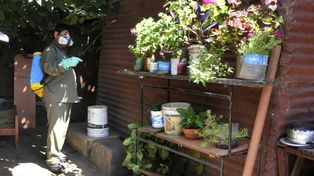 Para reducir el dengue, insisten en el trabajo durante la temporada invernal