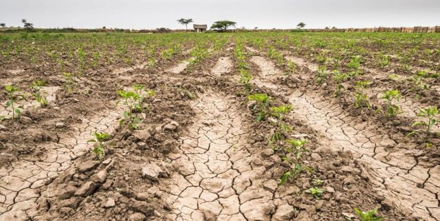 Lo que ha hecho sí el calor es aumentar la evaporación de la poca agua.