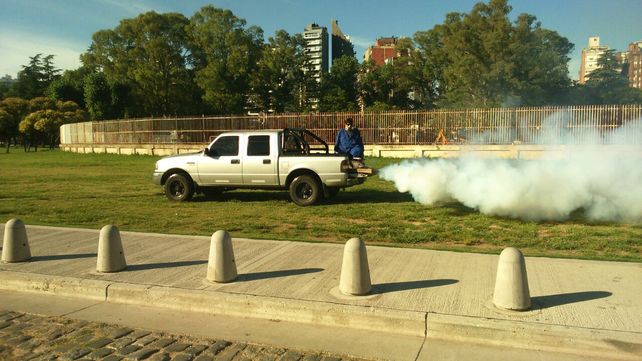 Fumigación. El equipo de vectores de la Municipalidad trabaja en el control de plagas.
