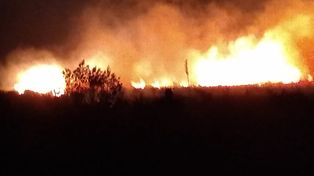 Un gran incendio se desató en la zona de countries en Santo Tomé