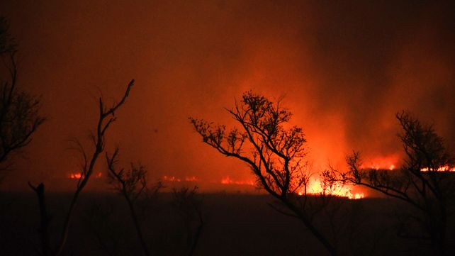 Los incendios en las islas arrasaron con más de un millón de hectáreas entre 2020 y 2022.