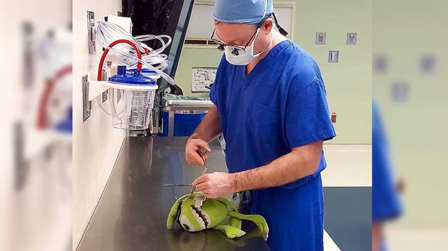 Un cirujano operó al peluche de un niño para que este no se sintiera solo en hospital