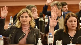 Diputadas provinciales pidieron por la Ley de Humedales
