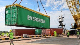 Confirmaron un paro de tres días en el Senasa y desde el lunes se paralizan las exportaciones en el país