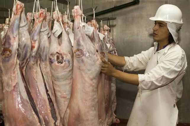 En Mansilla late una iniciativa para industrializar carne ovina