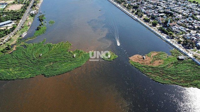 Embalsado. Este jueves 23 de noviembre las imágenes aéreas del dron del UNO muestran como comienza a formarse nuevamente un muro de vegetación acuática. 